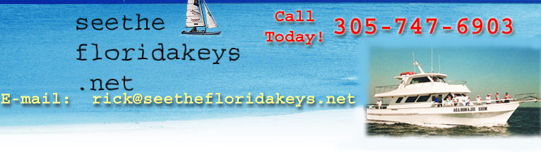 Florida Keys Fishing Charters Florida Keys Backcountry Guides Islamorada Fishing Charter